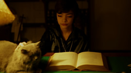 Children of the Night