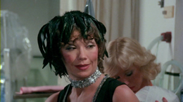 Erotic Adventures of Candy