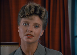 The Merchant of Four Seasons