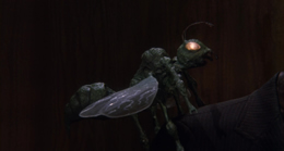 Night Train to Terror