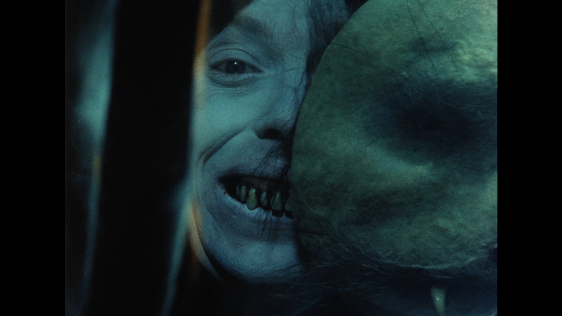 Valerie and Her Week of Wonders